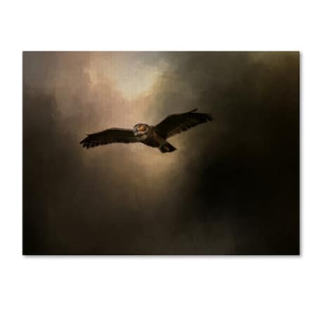 Jai Johnson 'Night Of The Owl 2' Canvas Art,35x47
